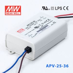 APV-25-36