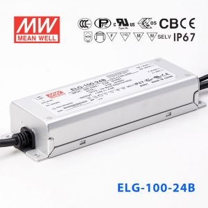 ELG-100-24B