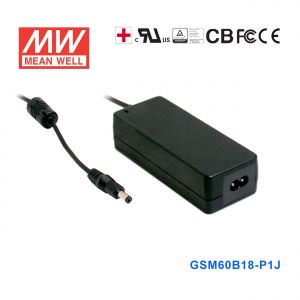GSM60B18-P1J