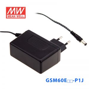 GSM60E09-P1J