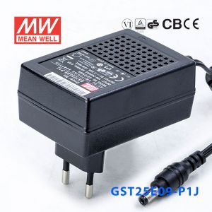 GST25E09-P1J
