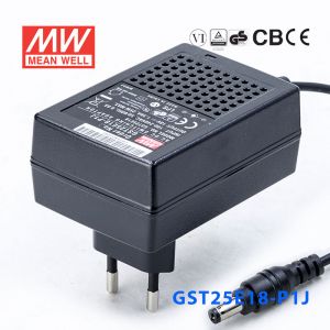 GST25E18-P1J