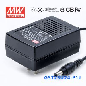 GST25U24-P1J