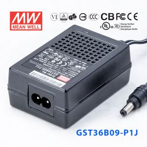 GST36B09-P1J