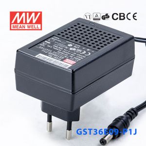 GST36E09-P1J