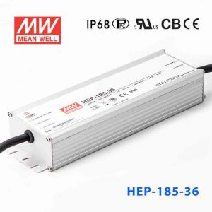 HEP-185-36