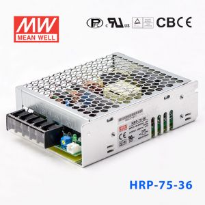 HRP-75-36